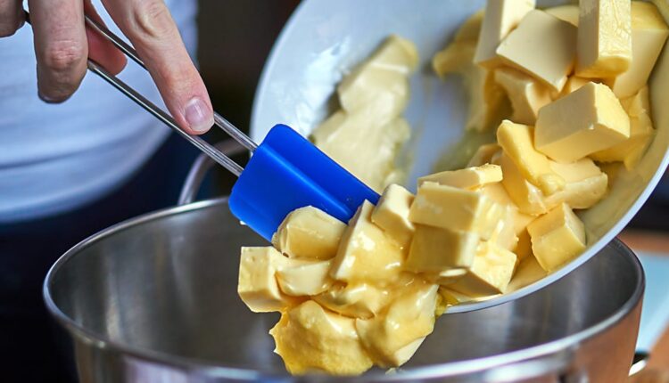 How Dolphin Research Is Revealing the Hidden Health Benefits of Butter