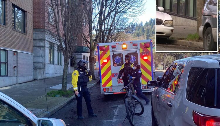 Portland woman suffering a 'mental health crisis' gives birth on SIDEWALK and ABANDONS baby on the ground before stumbling away still covered in blood and amniotic fluid