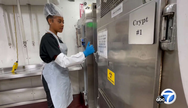 Talented SoCal teen has helped with 19 autopsies since age 14 as she eyes medical career